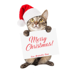 Merry Christmas! 