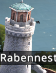 Raven not sitting correctly on the tower 