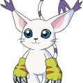 camusmon