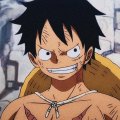 luffy95