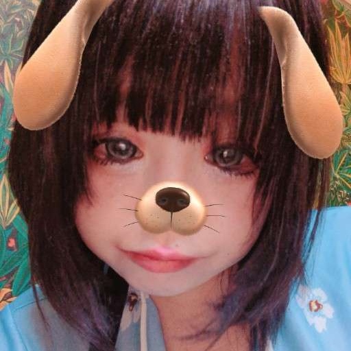rikokuma