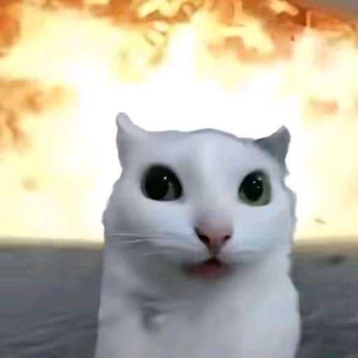 f9e2b6