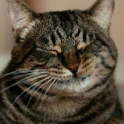 Ошибка – Infinity Kingdom Official Forum